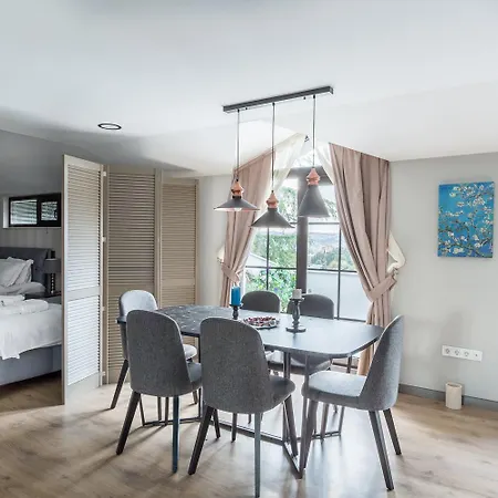 Dm Bosphorus 伊斯坦布尔