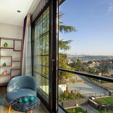 Dm Bosphorus 公寓 *