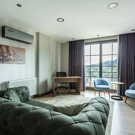 Dm Bosphorus 公寓 *